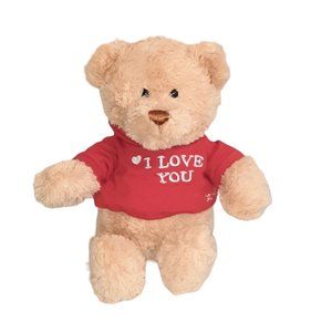 GUND Bear Hugs I Love You Hoodie T-Shirt #319714 Stuffed Animal Plush Toy 12"